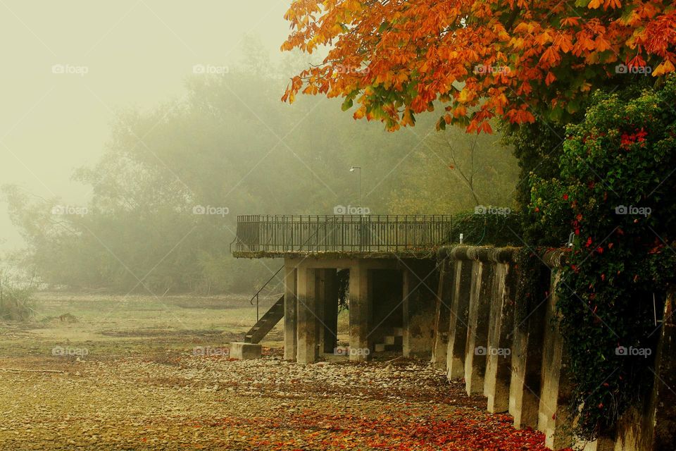 Herbst am Hafen in Bottighofen