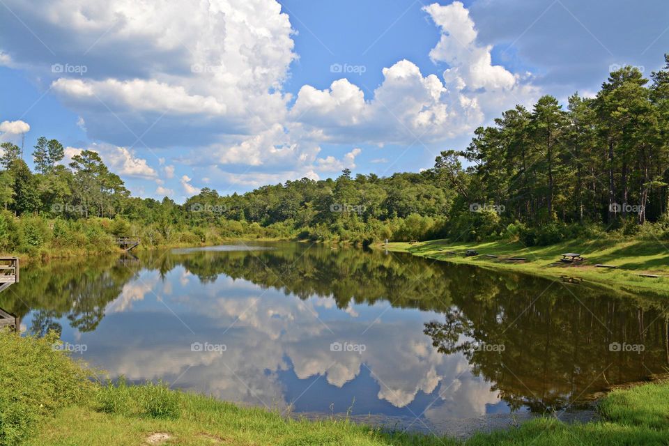 Clouds - Floating clouds reflecting in the water in the green forest as they pass by overhead