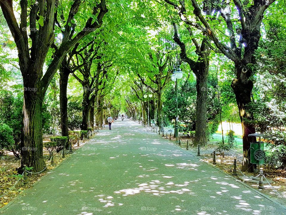 Cismigiu park, Bucharest