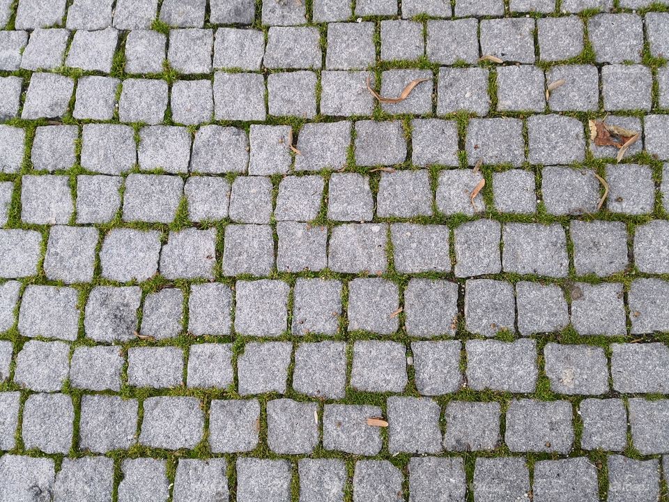 Floor, Povoa e Meadas, Portugal