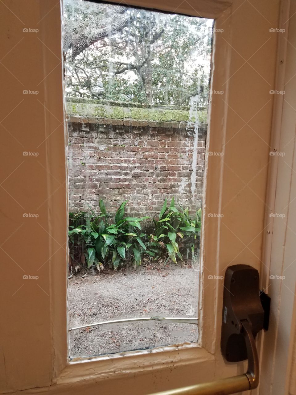 Russell House,  Charleston,  SC,  window view