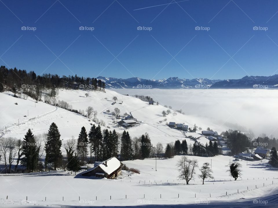 Snow, fog and sunshine on a beautiful winter day in Switzerland - over a height of 1000 metres, the fog disappeared and the sun came out