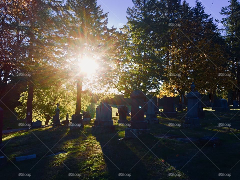 Sunrise in cemetery, Mt Calvary Catholic Cemetery, Portland, OR