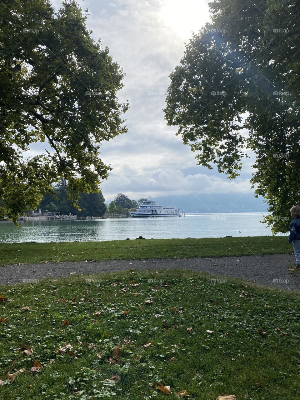 beautiful Swiss landscapes of a Swiss lake with the Alps and a ship on the water.  autumn is coming