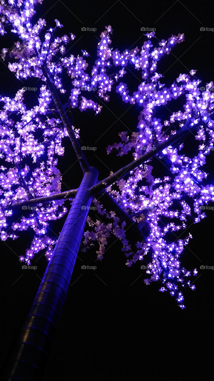 Purple Lamp Tree