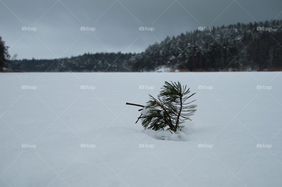 Frozen lake