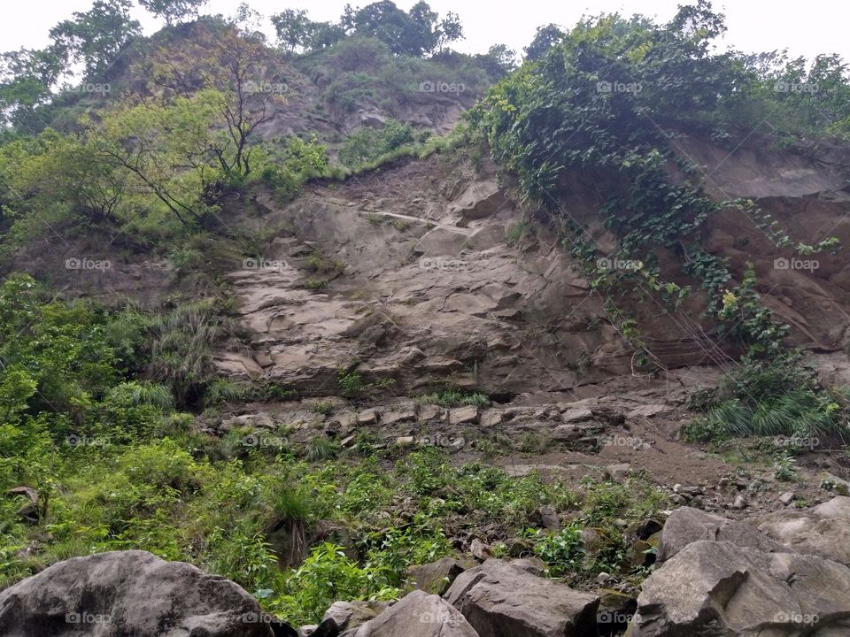 forest ❤️😘❤️