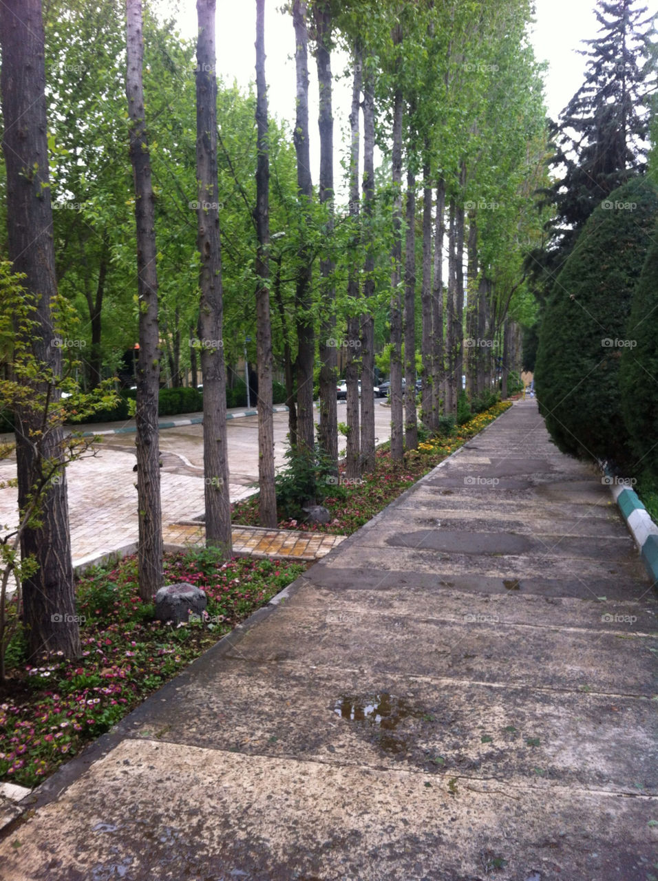 tarbiat modares university i have studied here garden pathway by alimasa1391