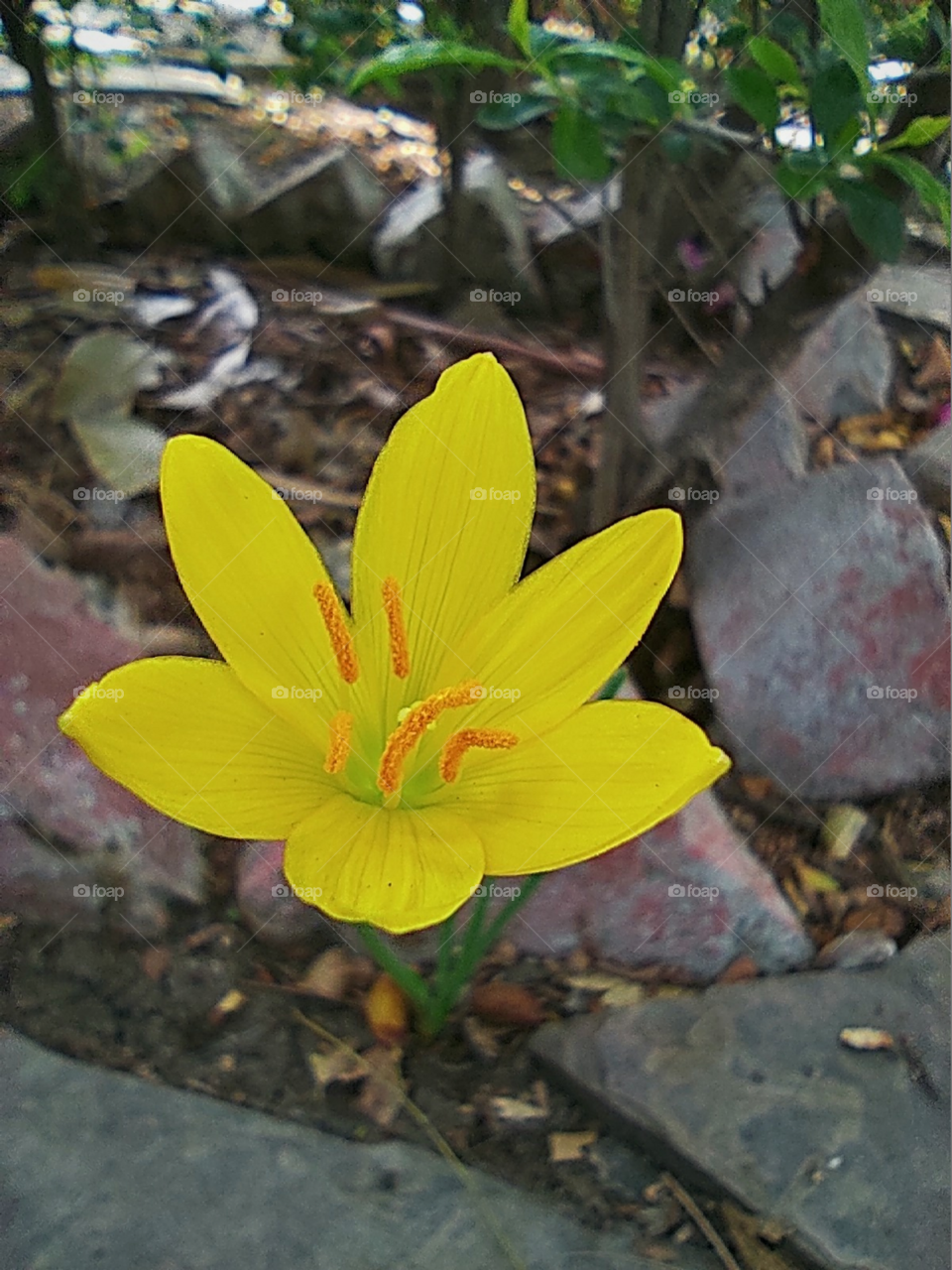 standing in daylight