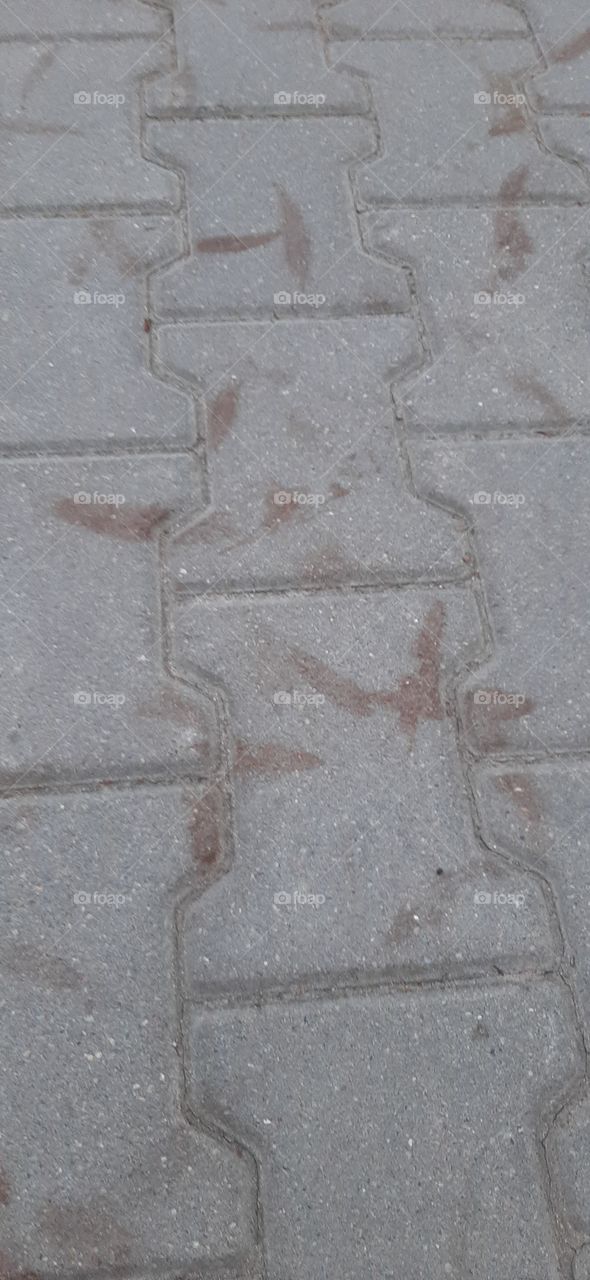 Leaves print on the pavement