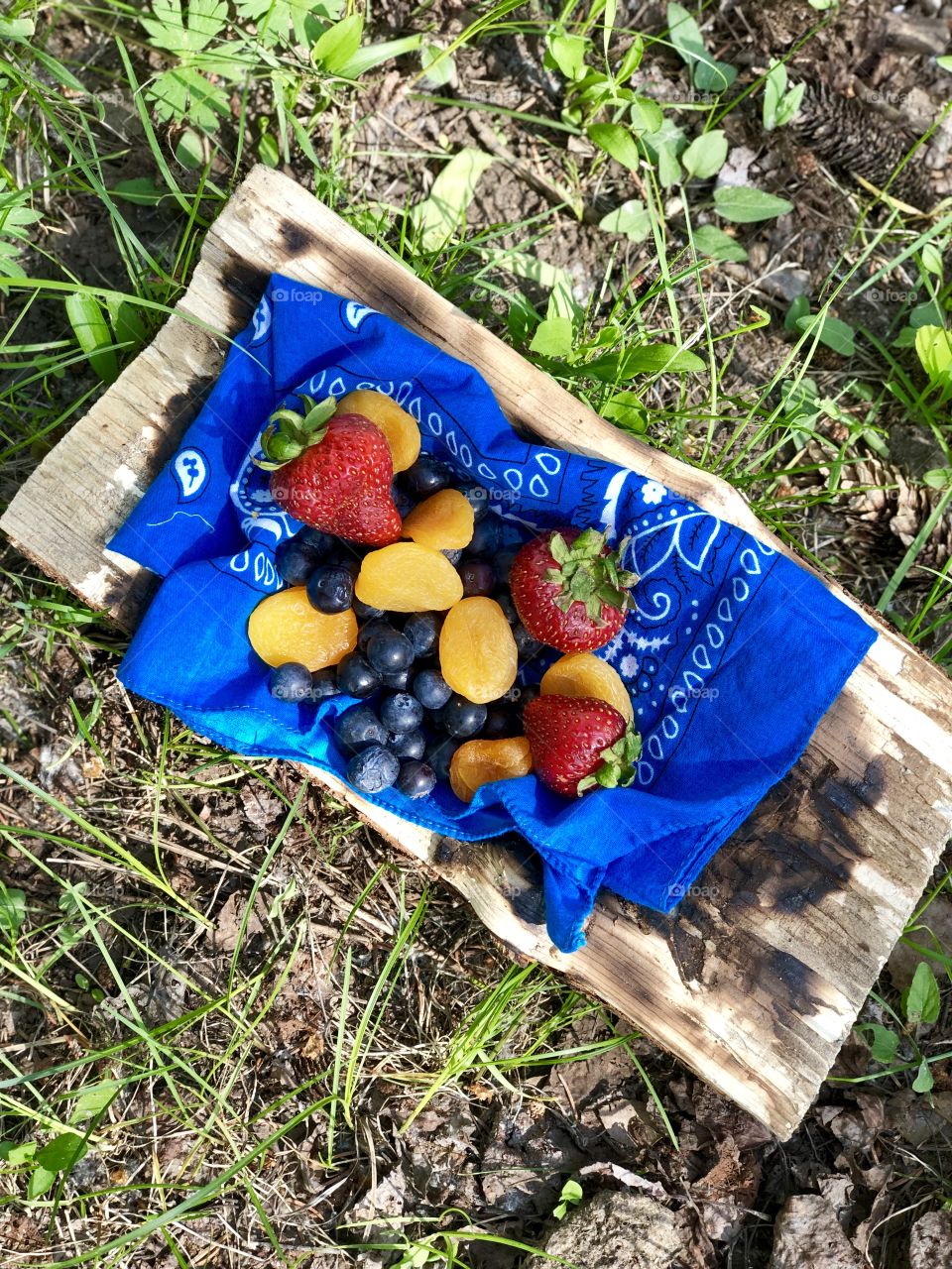 Fruit bowl in the woods