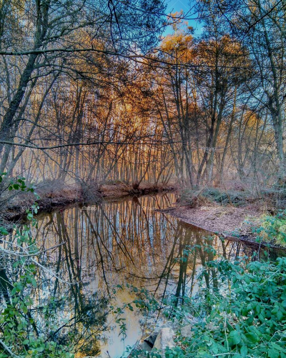 autunm river nature outside