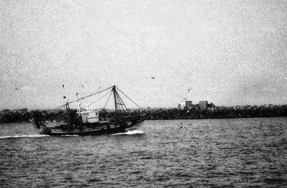 Sardine fishing boat