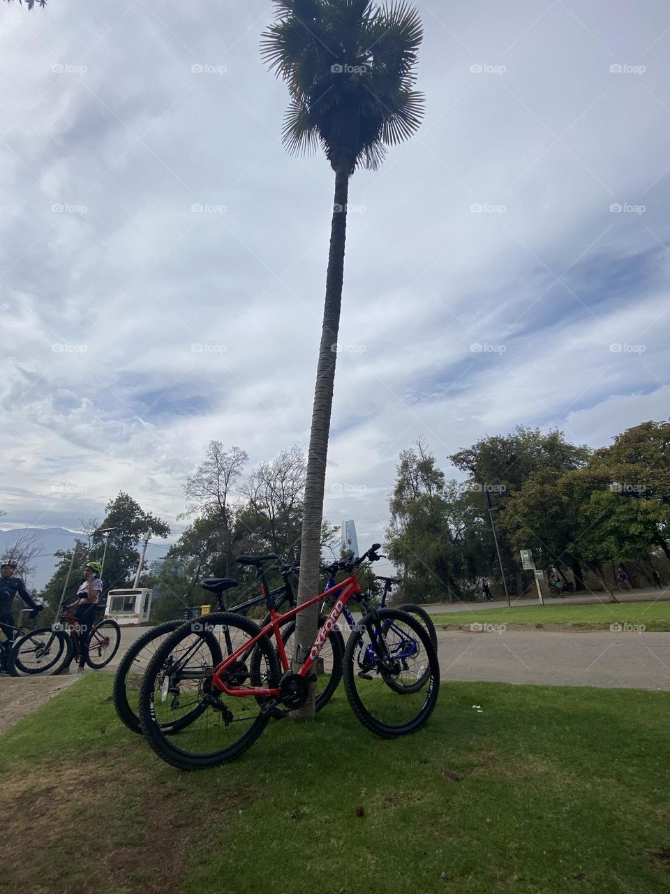 Bike day 