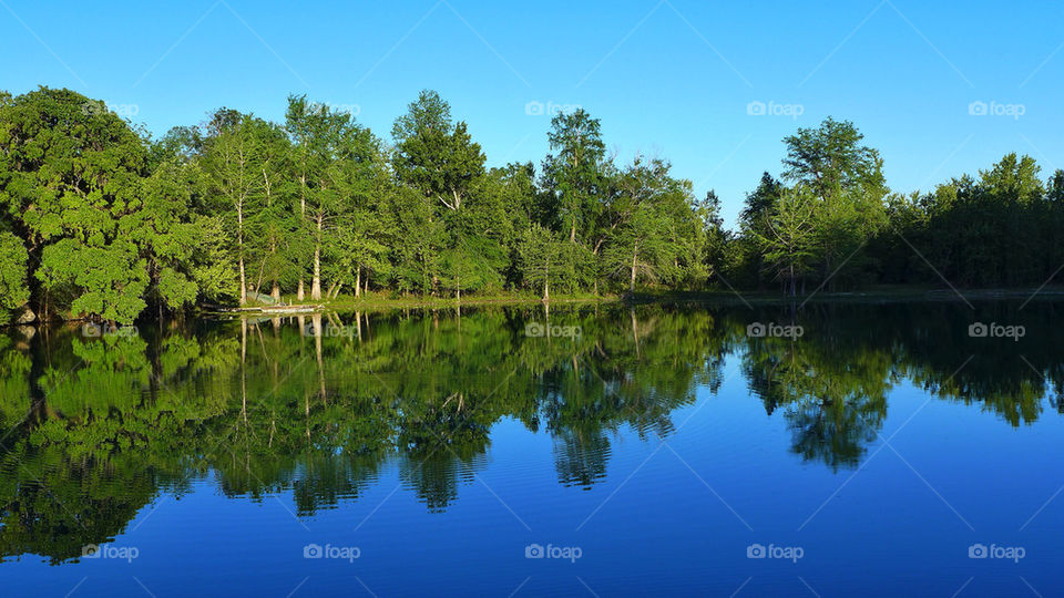 Life by the lake