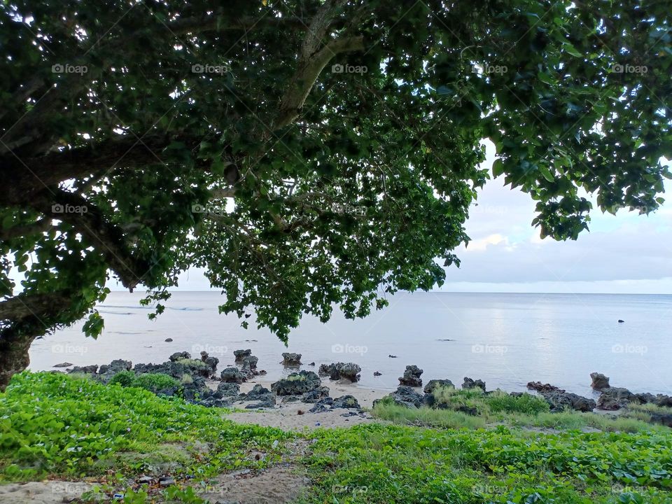 Malesso Southern comfort