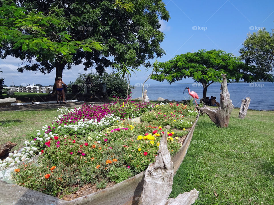 Garden located in a square on the coast of Brazil.