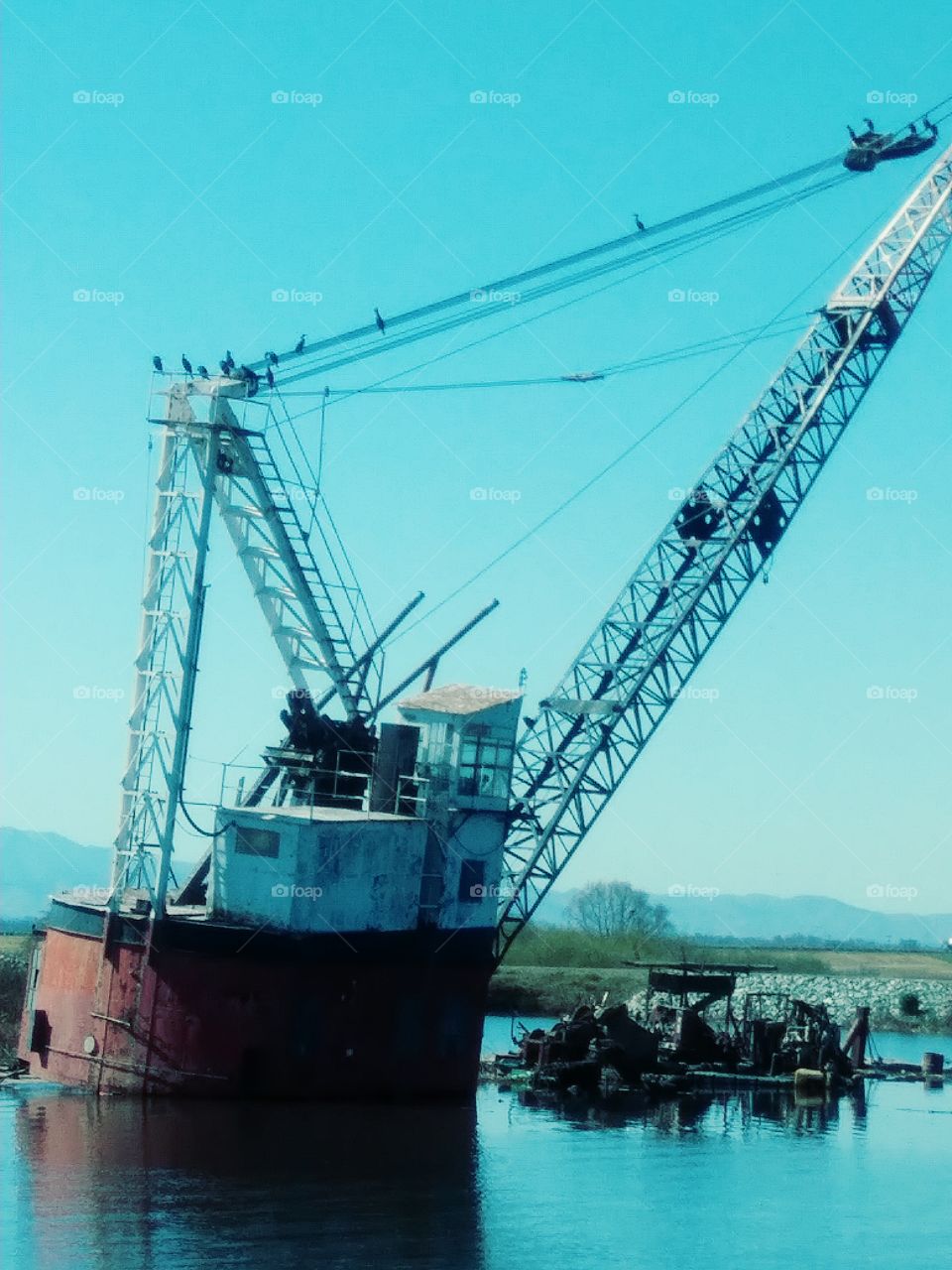 Crane on the Deltra