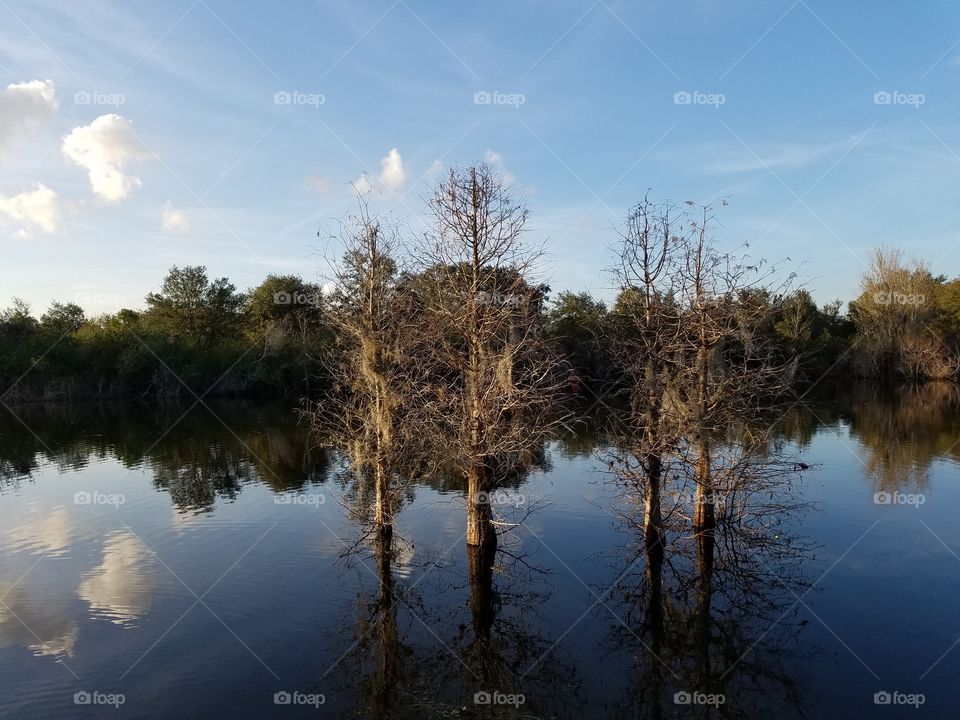 Picnic Lake in central Florida