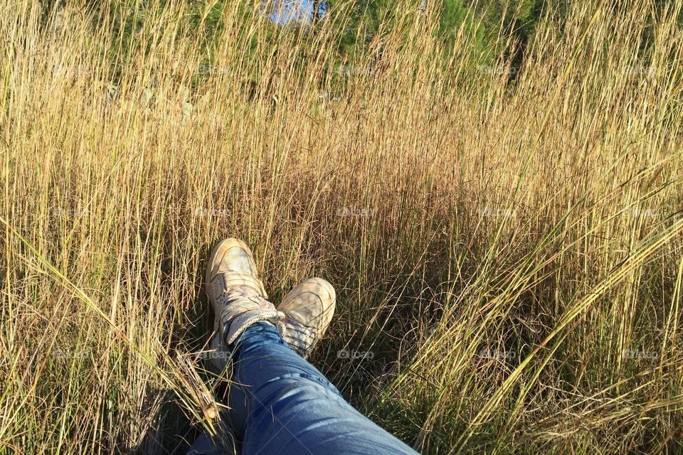Relaxing in a field