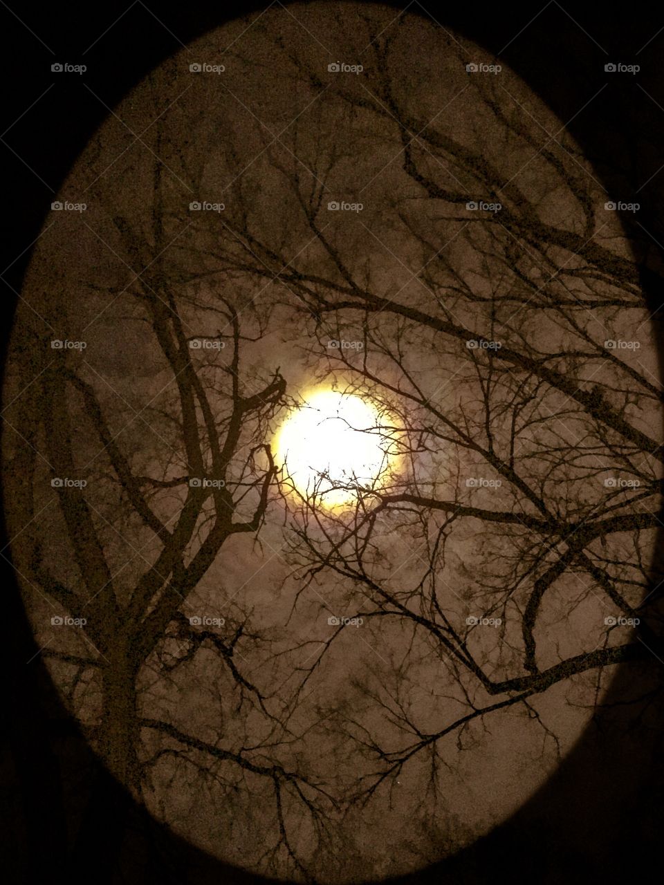 Parked next to a tree while at work, looked up and BOOM the moon was full an bright!!!