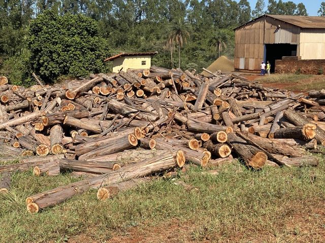 Wood 
