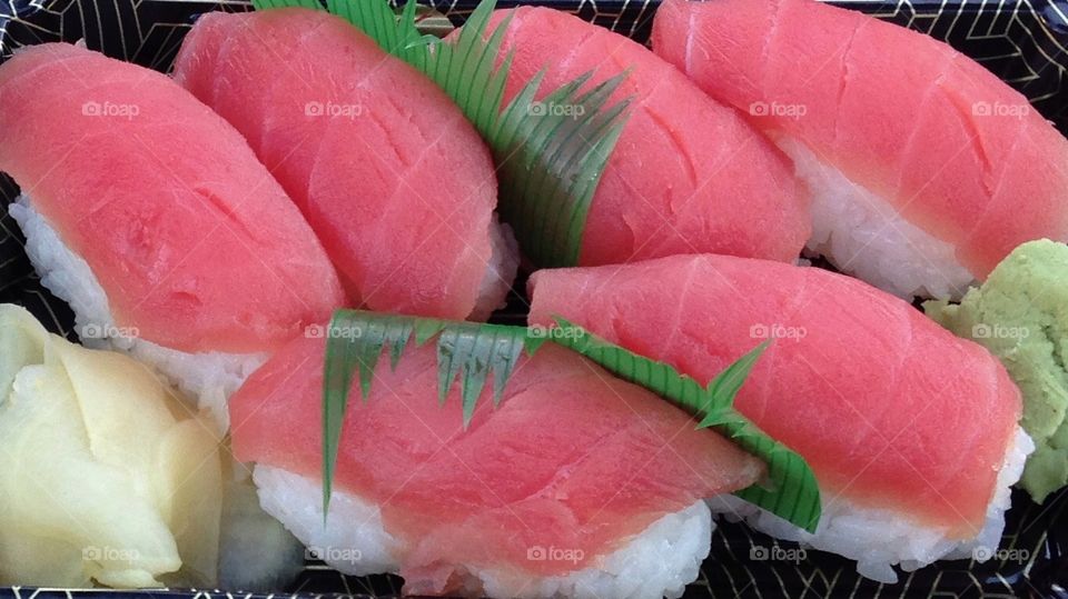 Pink Salmon
