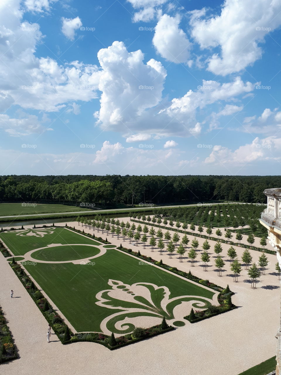 Panoramic view to the lawns with green grass