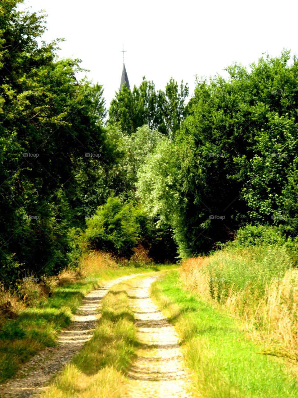 rural path