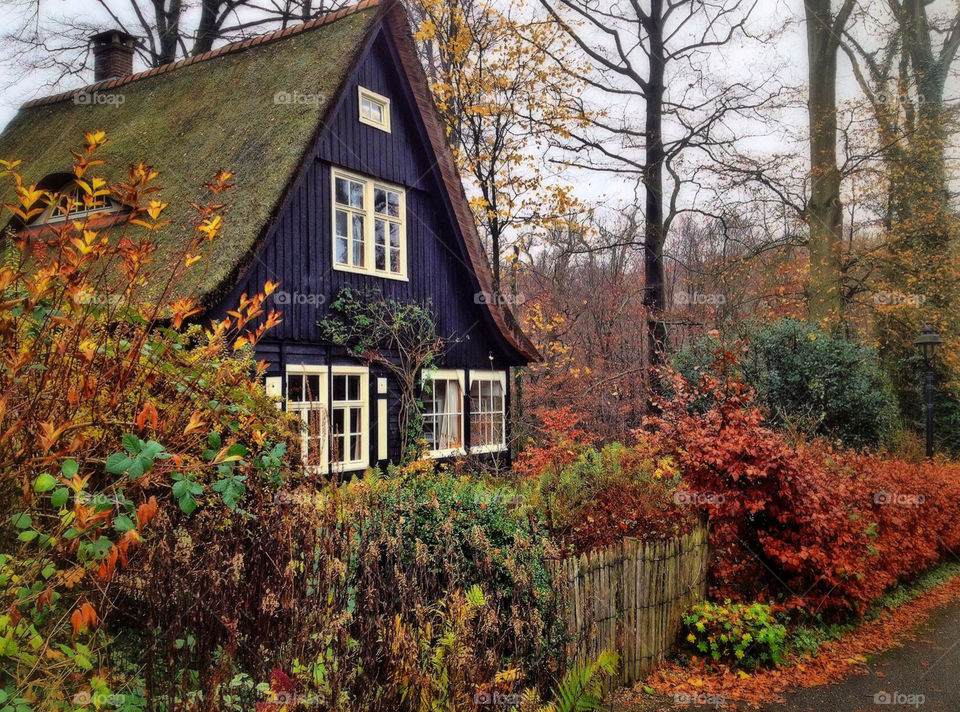 spring nature trees forest by vienesse