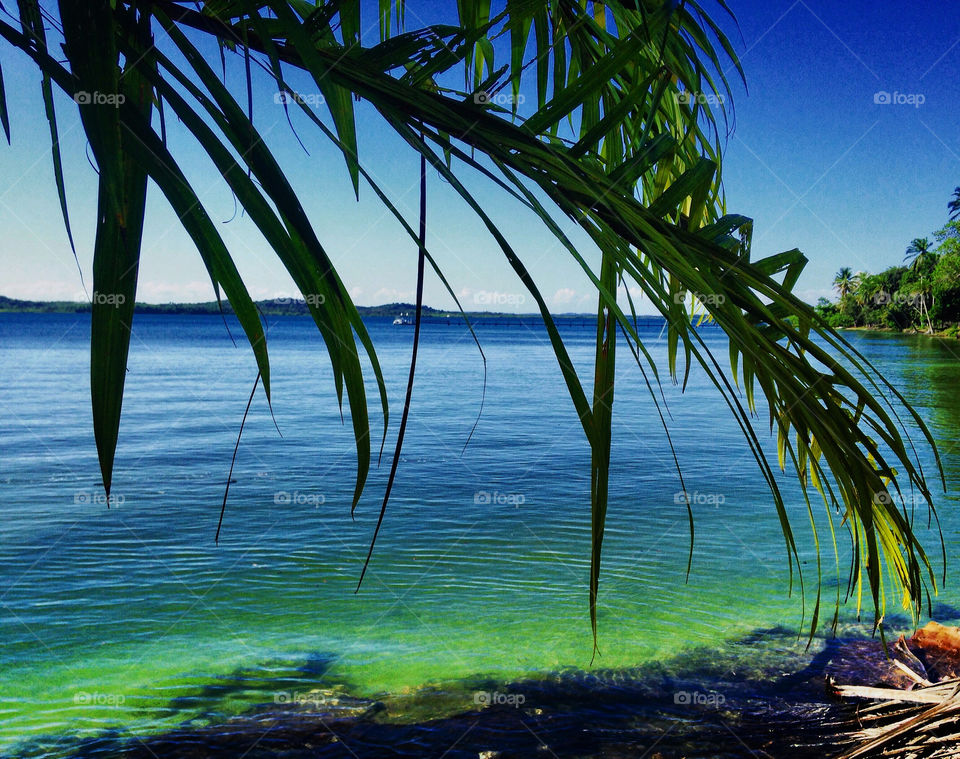 Praia de Catu, Ilha de Itaparica, Bahia