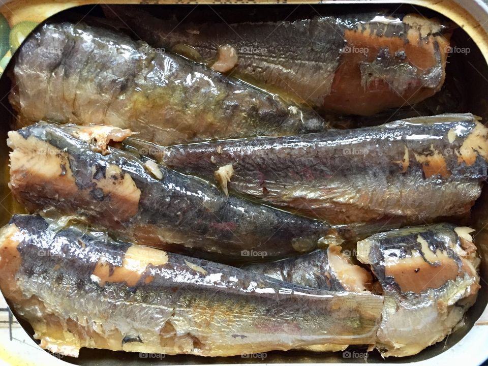Sardines
