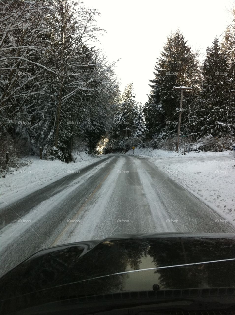 Snowy Drive