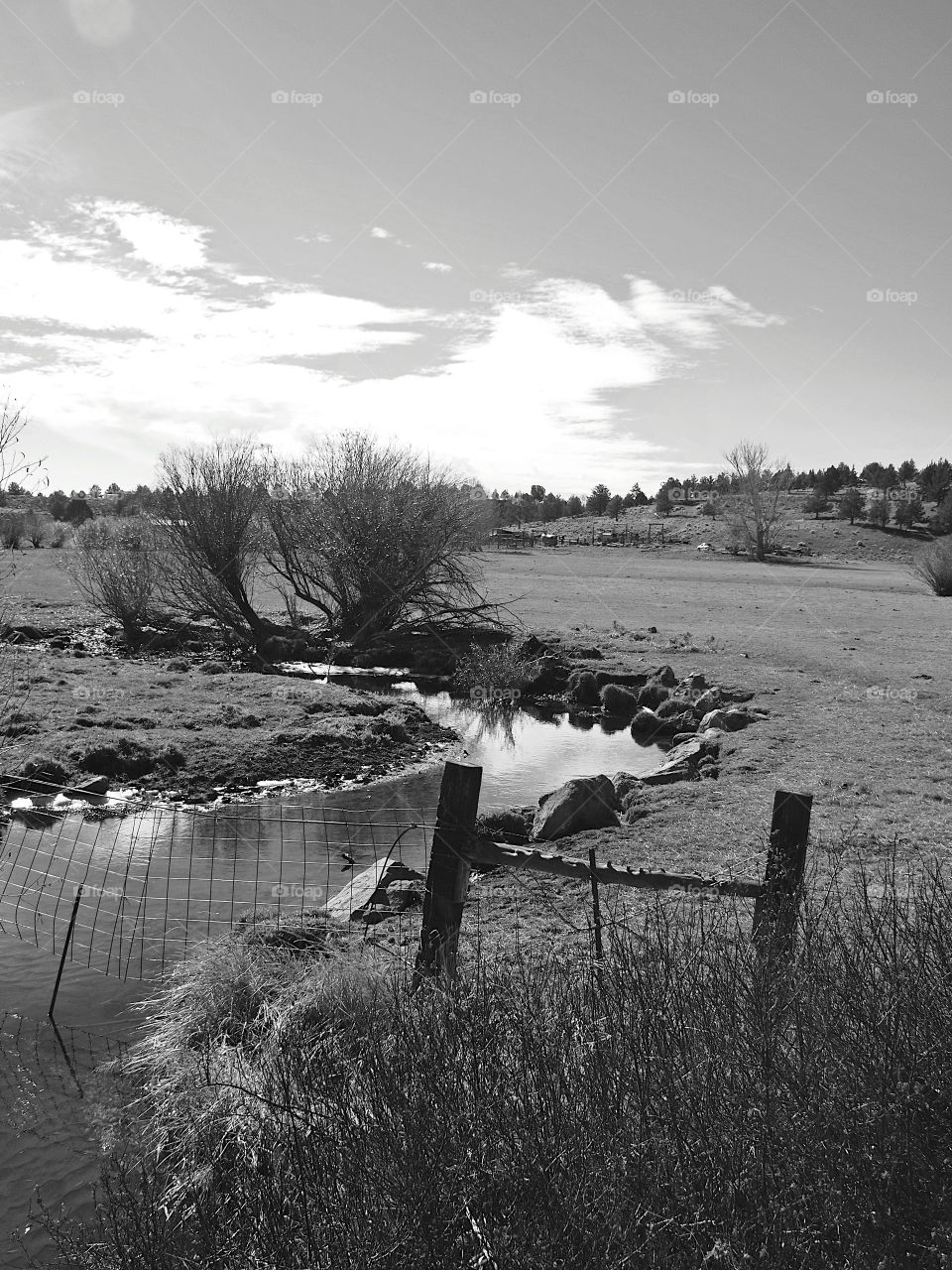 A creek running through a ranch field on a clear day in Southern Oregon. 
