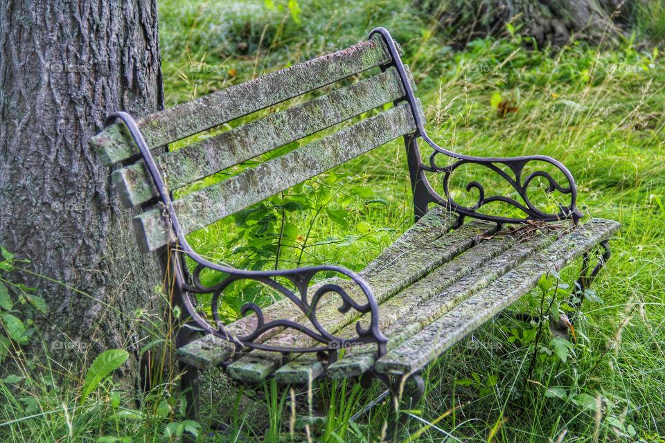 Old Wood Bench. Old Wood Bemch founf in the woods...