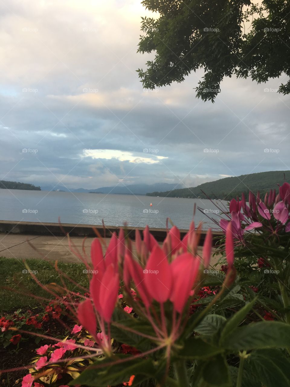 A brightness on a gloomy day