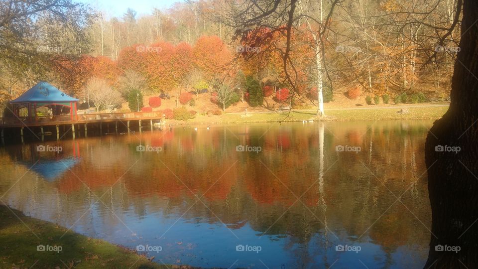 Fall, Reflection, Water, Tree, Lake