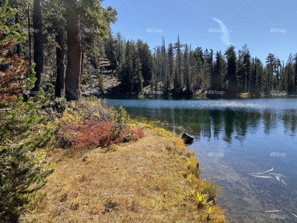 Nellie Lake