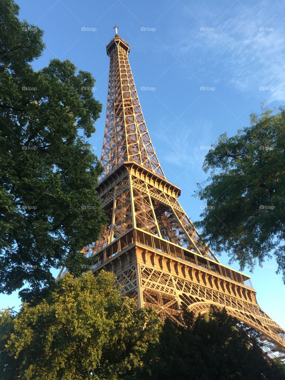 Eiffel Tower 
