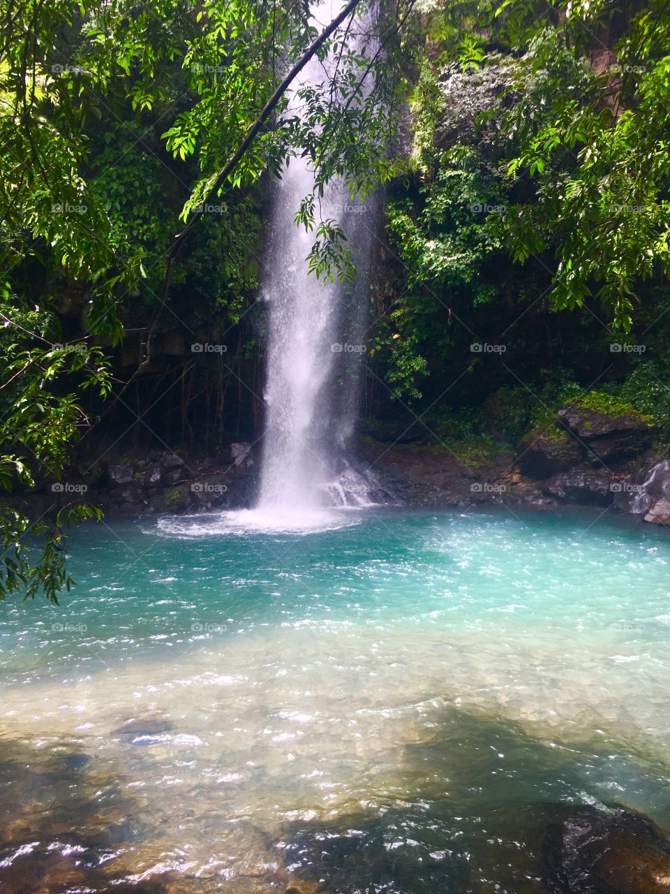 La Cangreja Waterfall, Rincón de la Vieja National Park, Guanacaste, Costa Rica