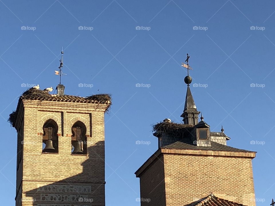 Cigüeñas stork nests