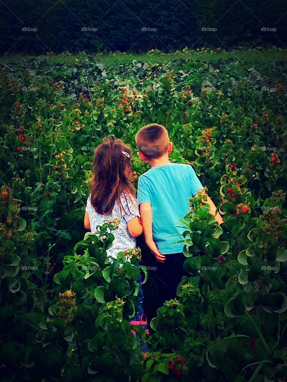Taking in the fields 
