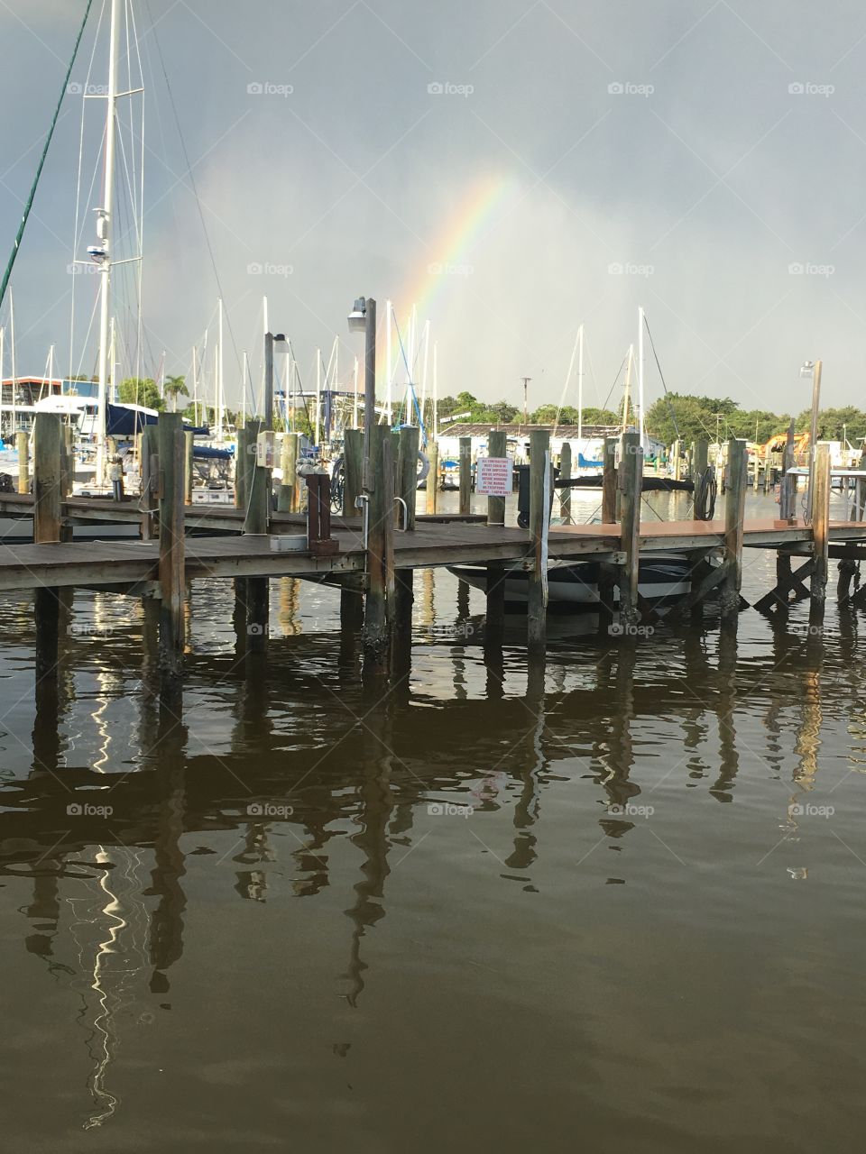 Rainbow in the water
Ft. Myers, Fl