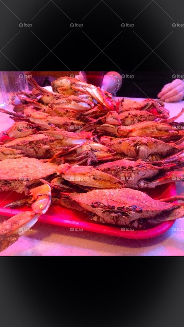 Maryland Blue Crabs