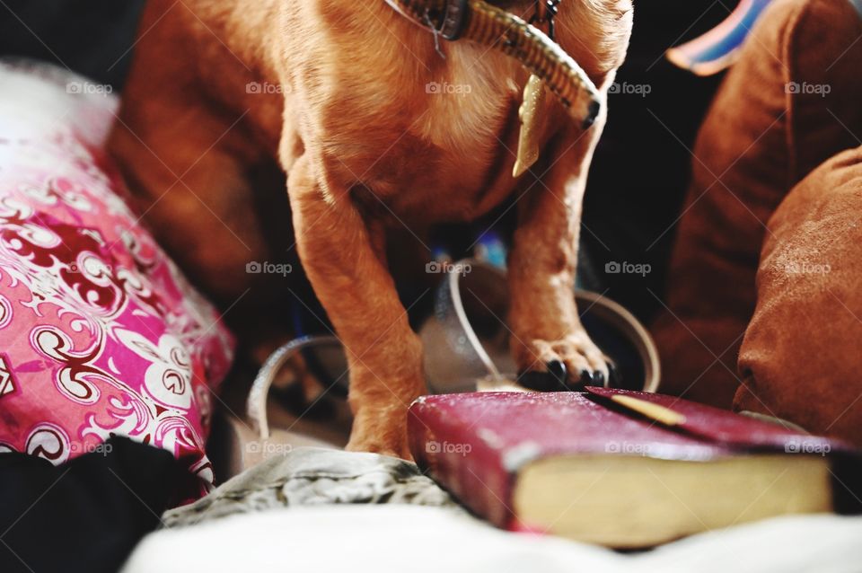 Make sure the Bible will not be left behind on a vacation.