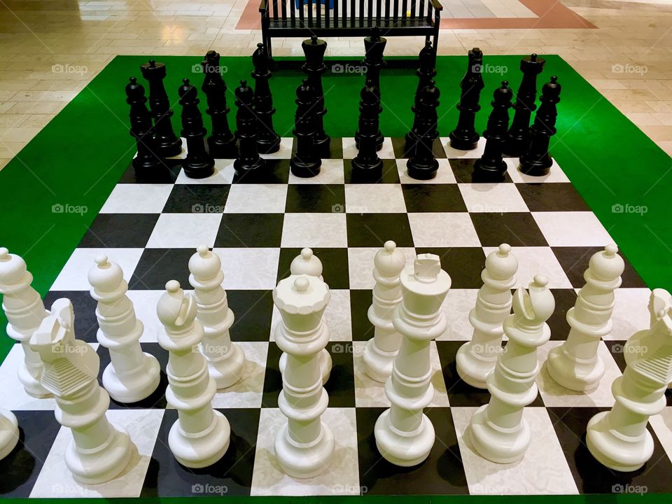 Life size chess board