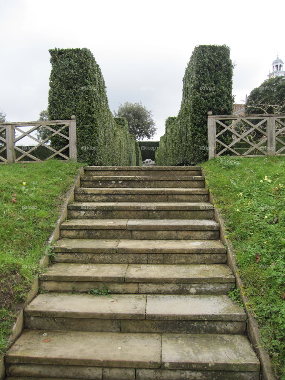 No Person, Garden, Tree, Step, Wood