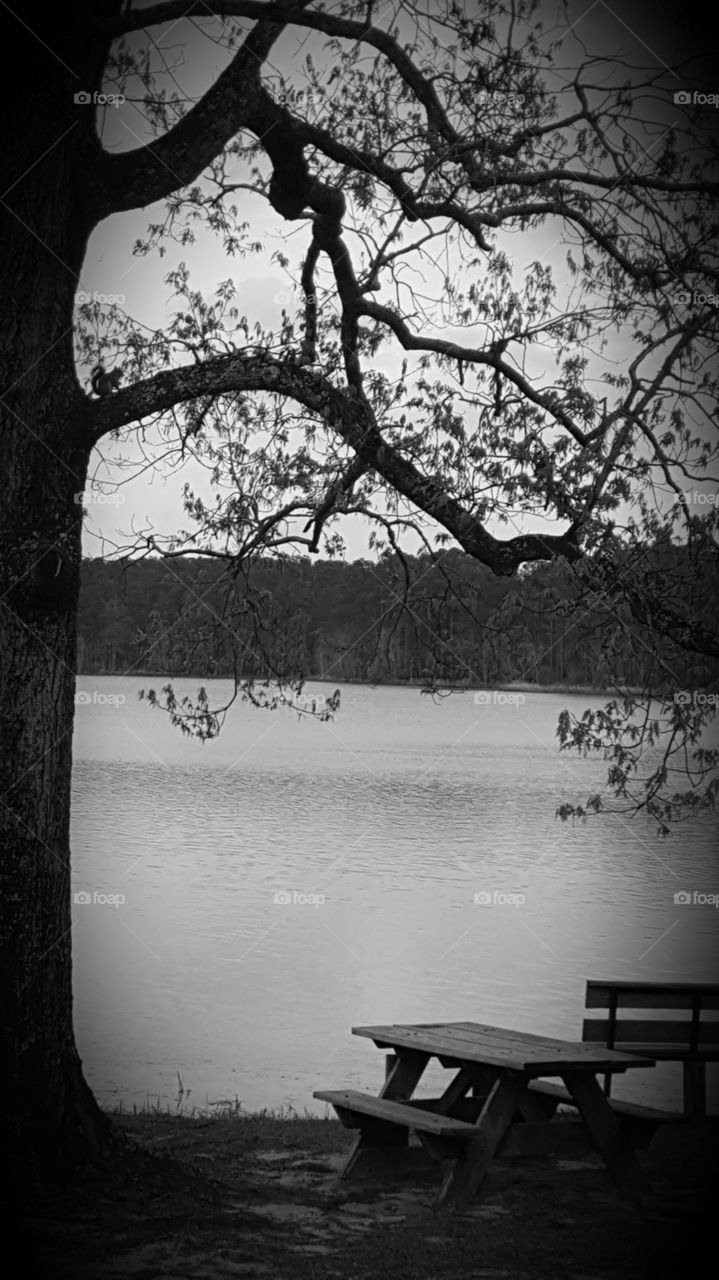 lake grayscale