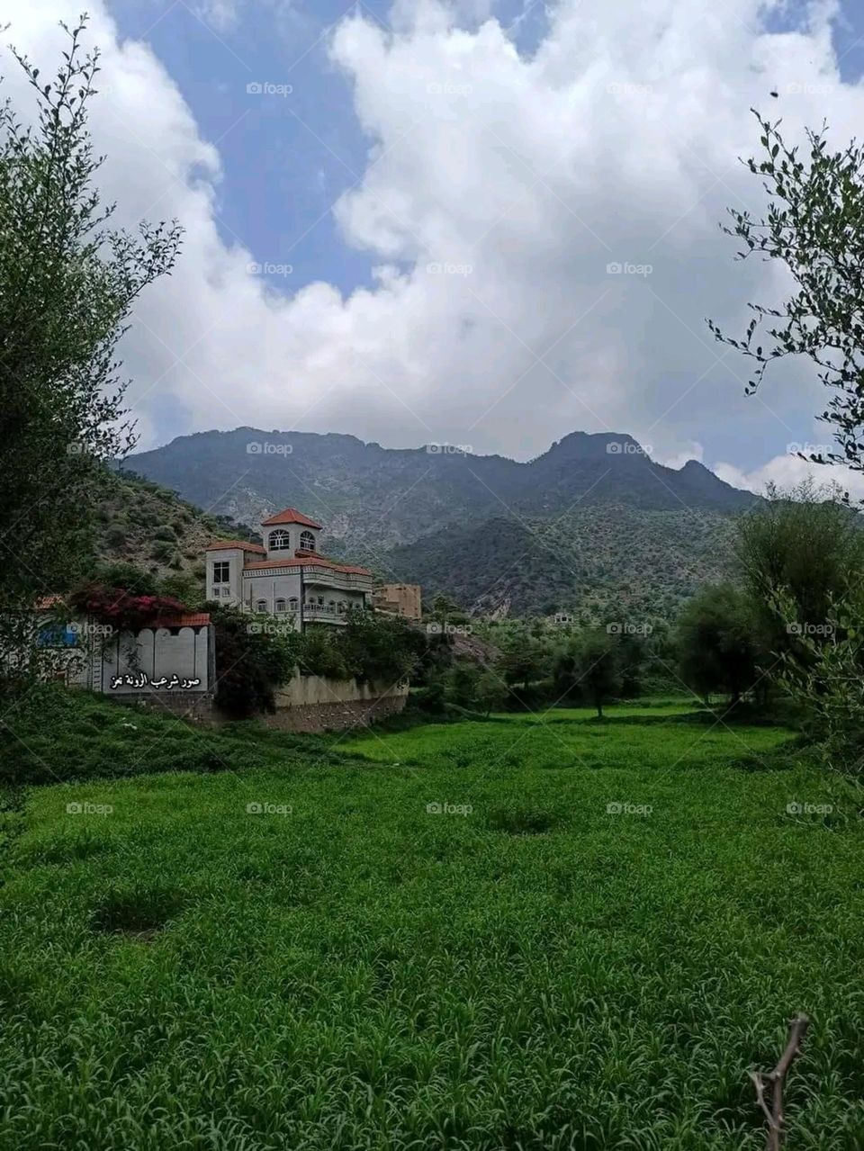 A very beautiful picture, and there is no better picture than it. There is no better picture of green herbs and colorful, red and white roses than it. Glory be to God, the natural and picturesque view, and there is no more