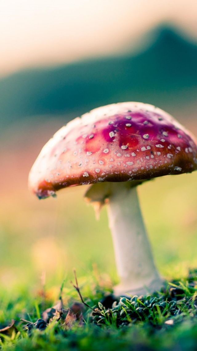 Naturel